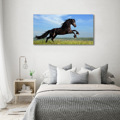 Tableau acrylique Cheval noir dans un pré