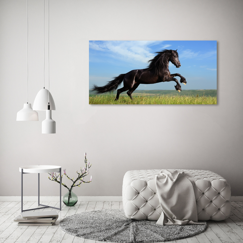 Tableau acrylique Cheval noir dans un pré