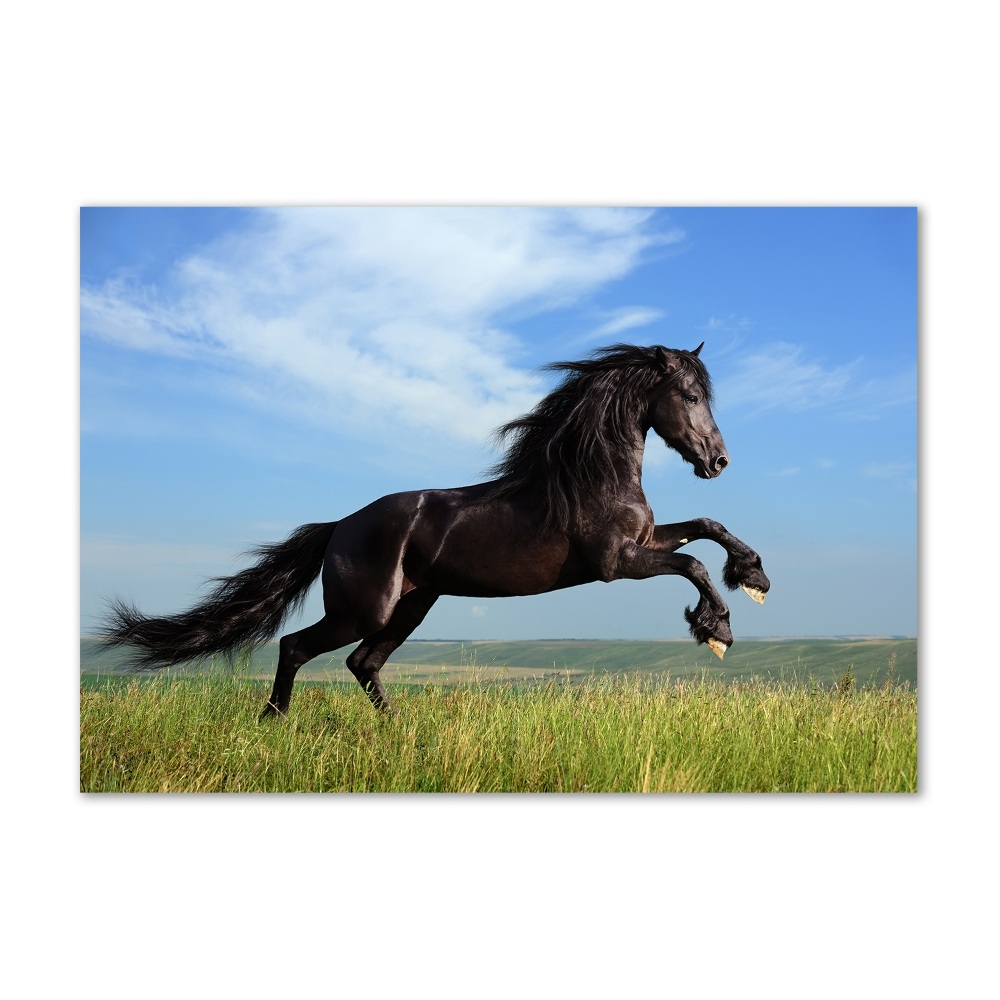 Tableau acrylique Cheval noir dans un pré