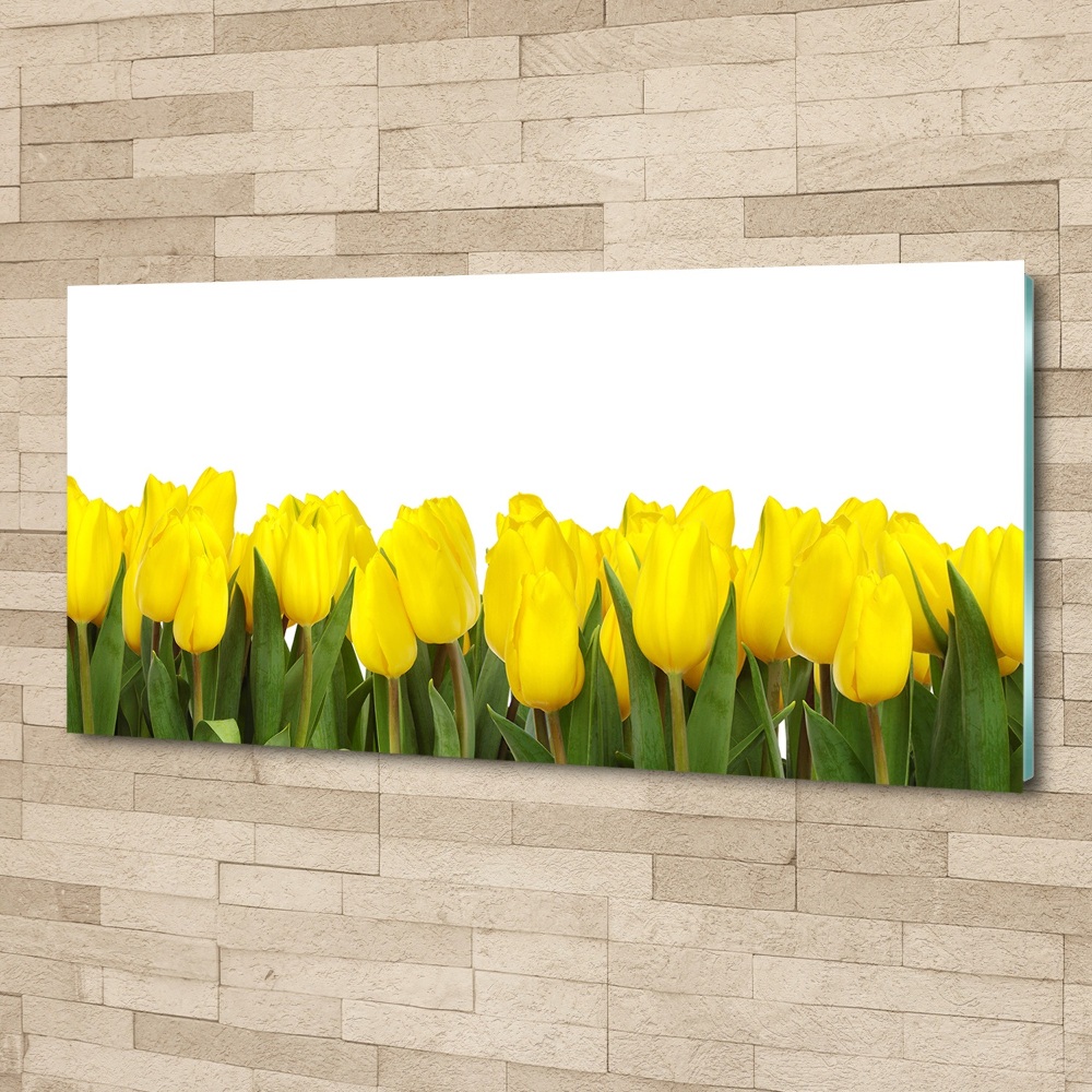 Tableau verre acrylique Tulipes jaunes