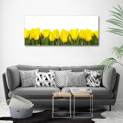 Tableau verre acrylique Tulipes jaunes