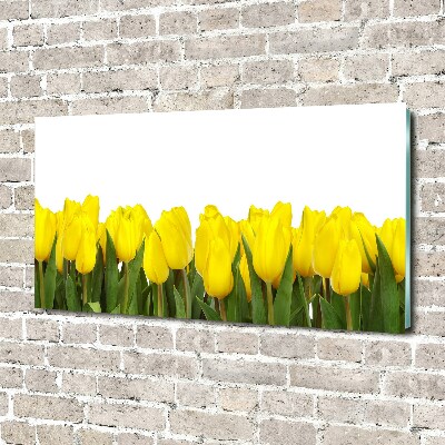 Tableau verre acrylique Tulipes jaunes