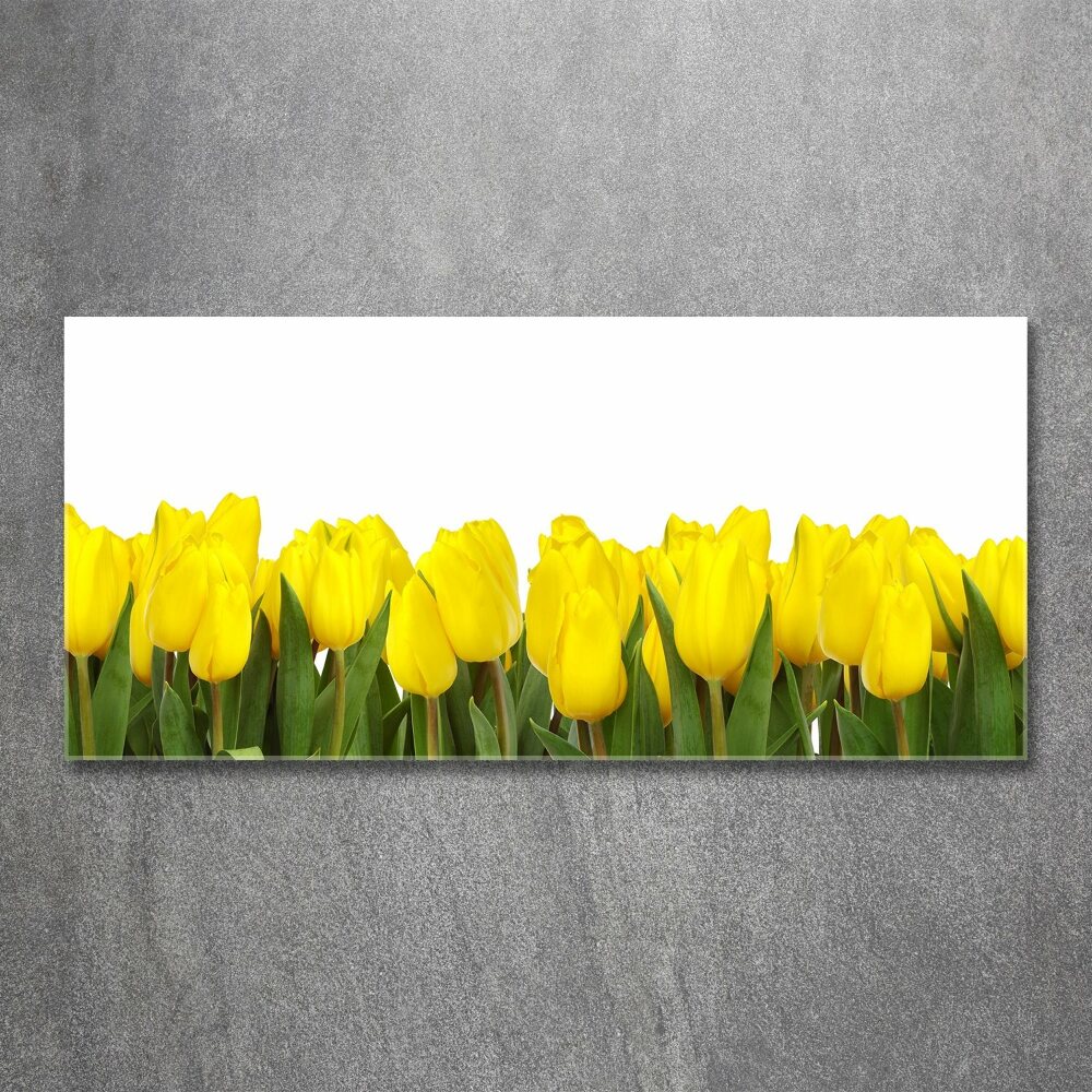 Tableau verre acrylique Tulipes jaunes