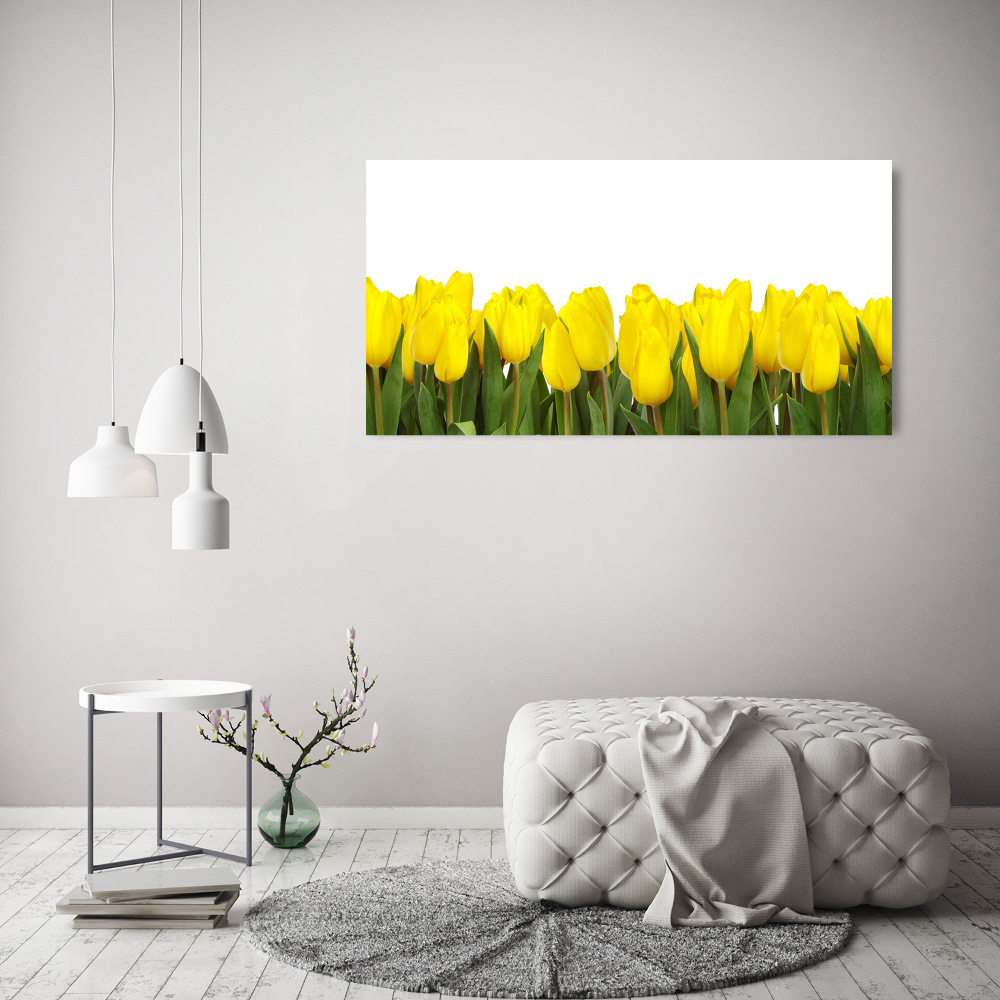 Tableau verre acrylique Tulipes jaunes