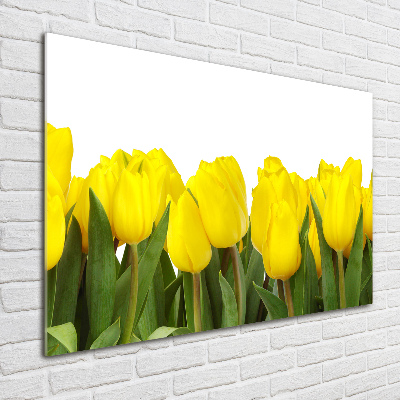 Tableau verre acrylique Tulipes jaunes