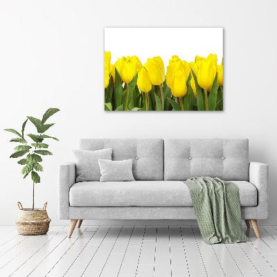 Tableau verre acrylique Tulipes jaunes