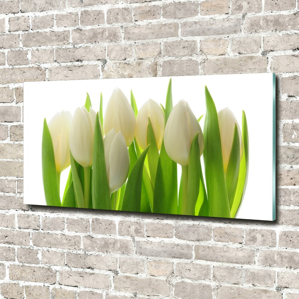 Tableau en acrylique Tulipes