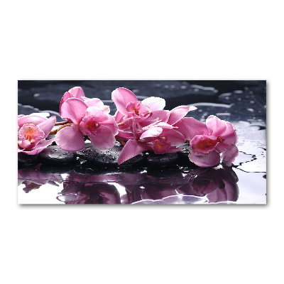 Tableau verre acrylique Fleur d'orchidée rose