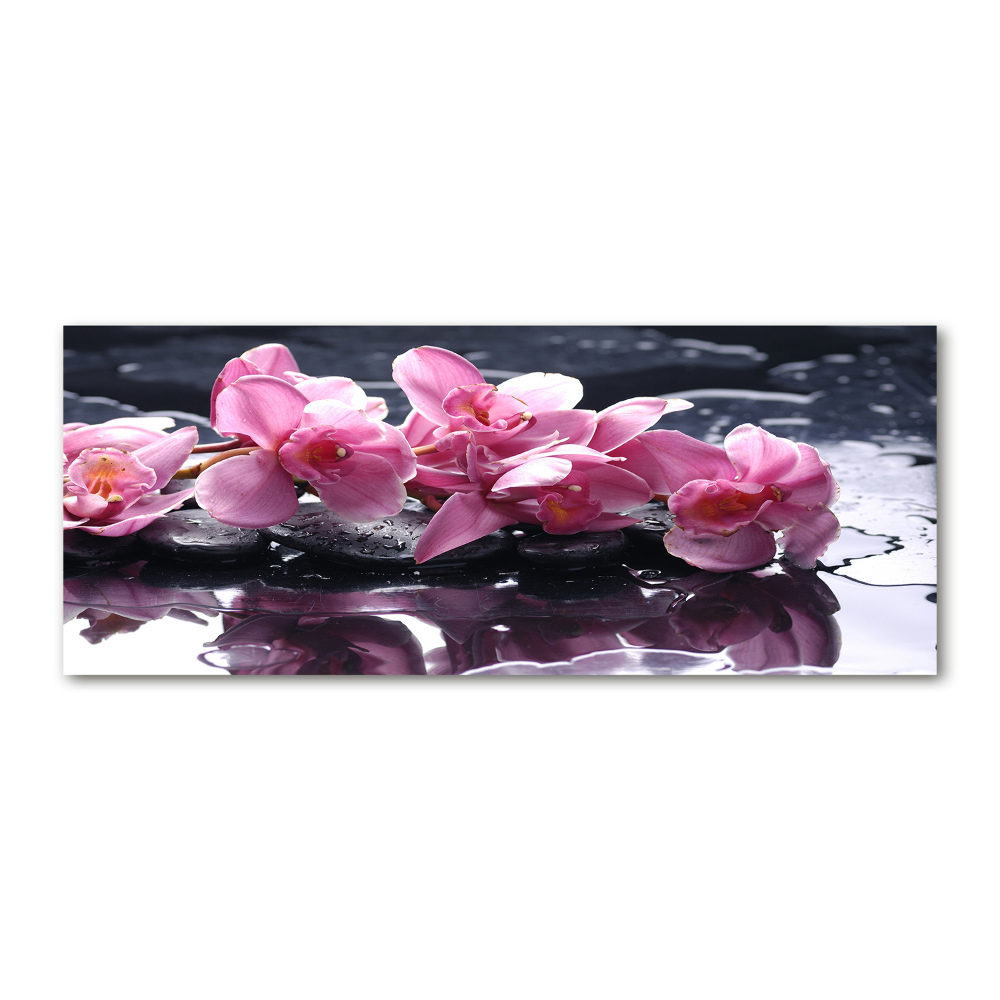 Tableau verre acrylique Fleur d'orchidée rose