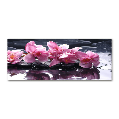 Tableau verre acrylique Fleur d'orchidée rose