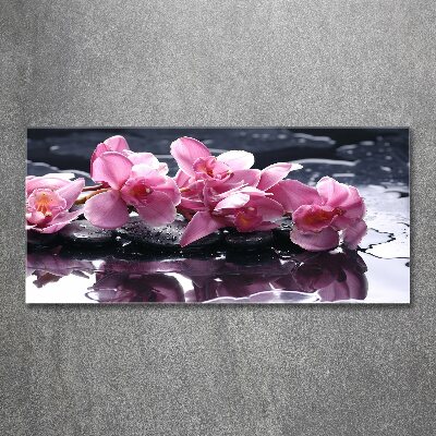 Tableau verre acrylique Fleur d'orchidée rose