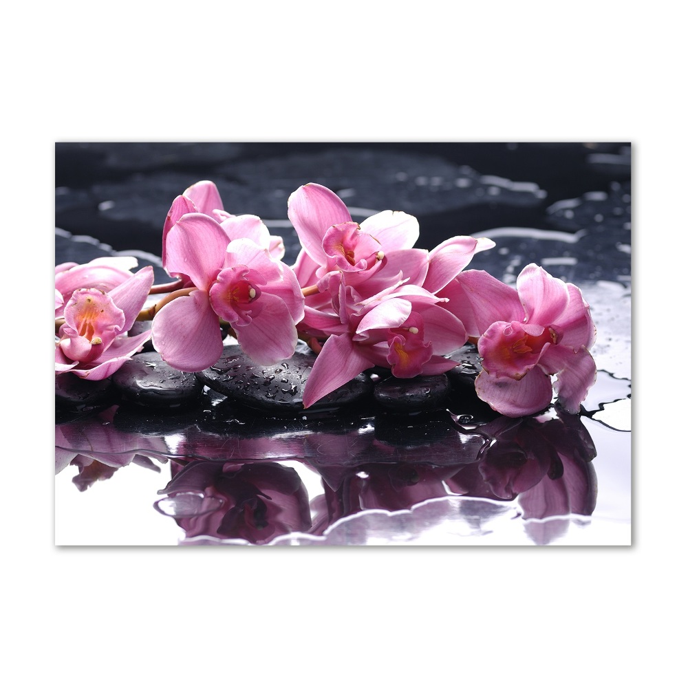 Tableau verre acrylique Fleur d'orchidée rose