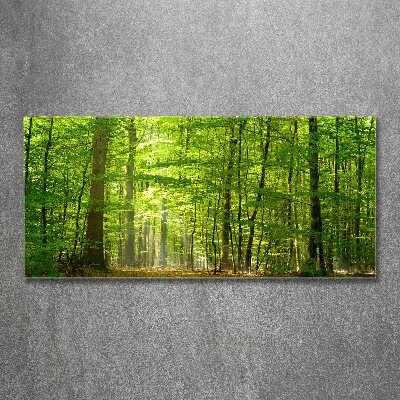 Tableau sur verre acrylique Forêt de feuilles