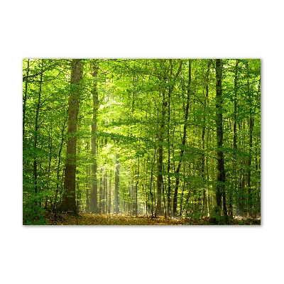 Tableau sur verre acrylique Forêt de feuilles