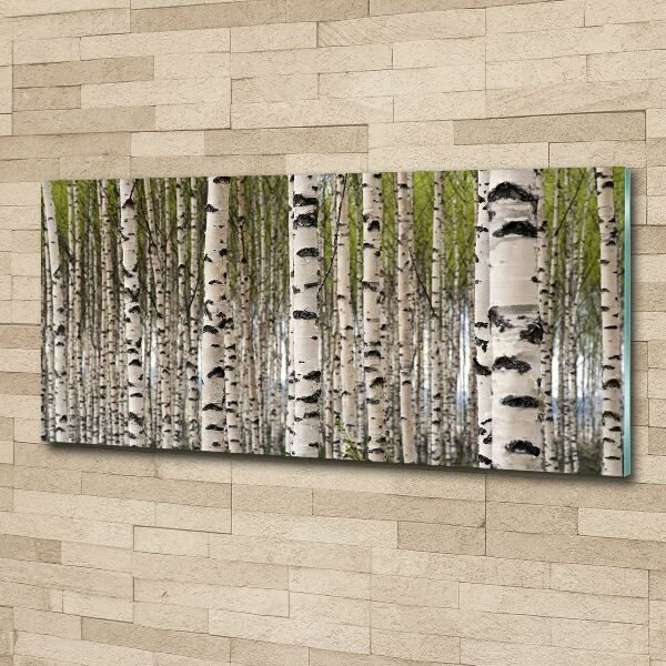 Tableau sur verre acrylique Forêt de bouleaux