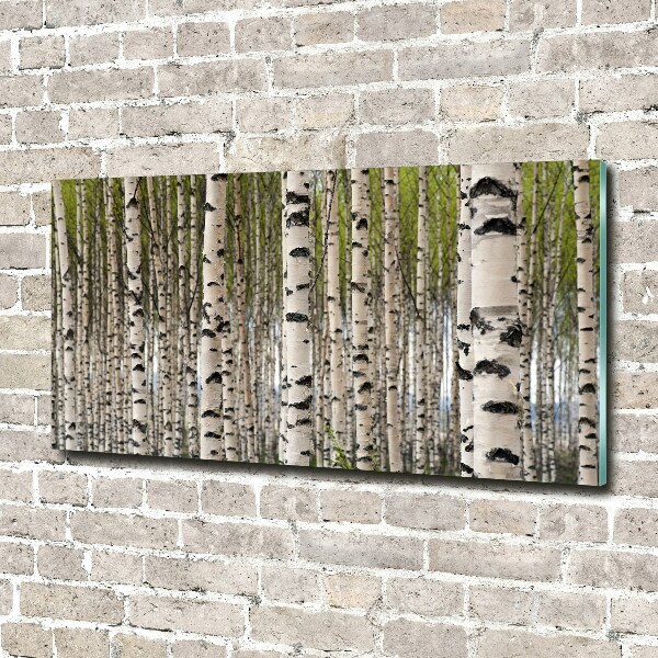 Tableau sur verre acrylique Forêt de bouleaux