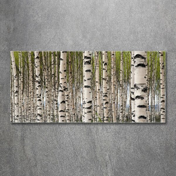 Tableau sur verre acrylique Forêt de bouleaux