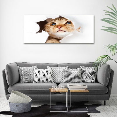 Tableau acrylique Chat dans un trou