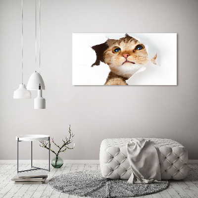 Tableau acrylique Chat dans un trou