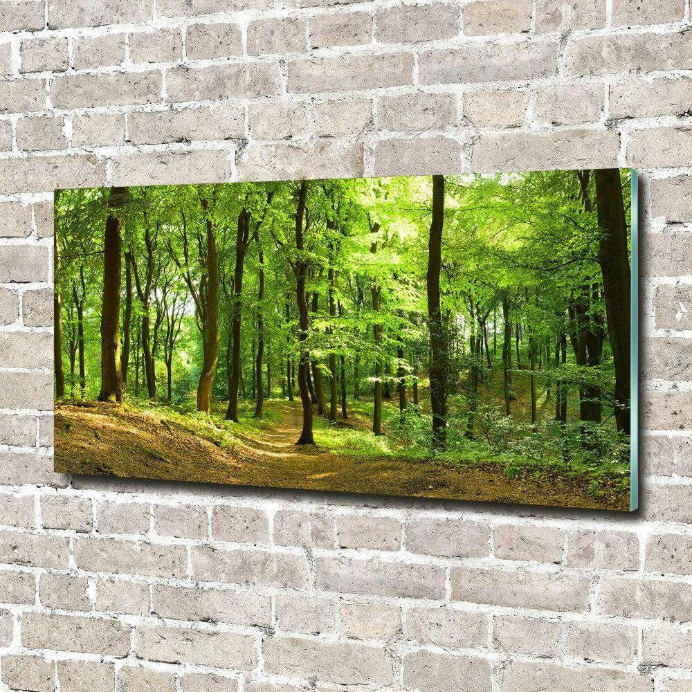 Acrylique tableau Sentier forestier