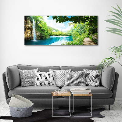 Tableau verre acrylique Chute d'eau dans la jungle