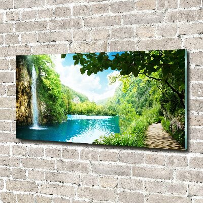 Tableau verre acrylique Chute d'eau dans la jungle