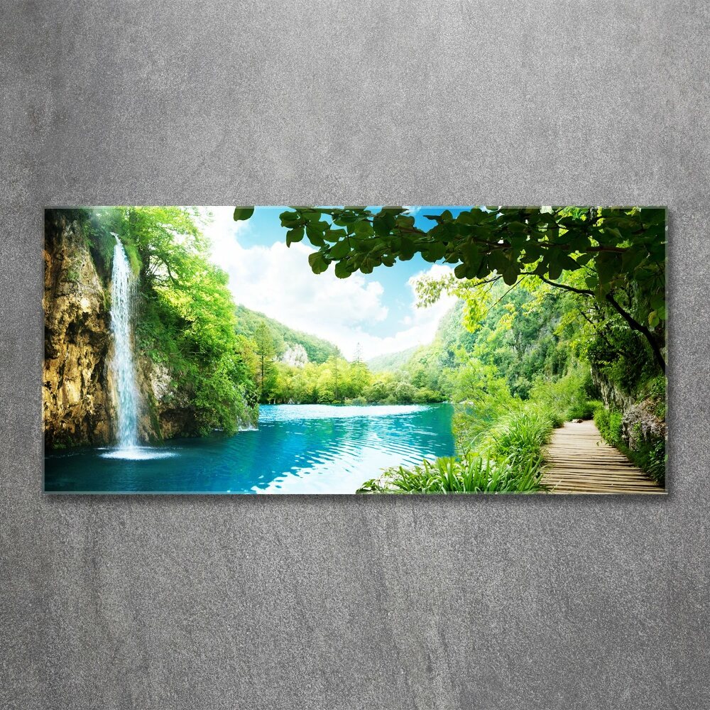 Tableau verre acrylique Chute d'eau dans la jungle