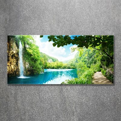 Tableau verre acrylique Chute d'eau dans la jungle