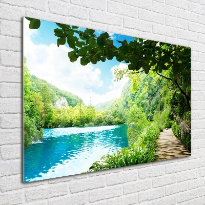 Tableau verre acrylique Chute d'eau dans la jungle