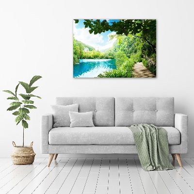 Tableau verre acrylique Chute d'eau dans la jungle