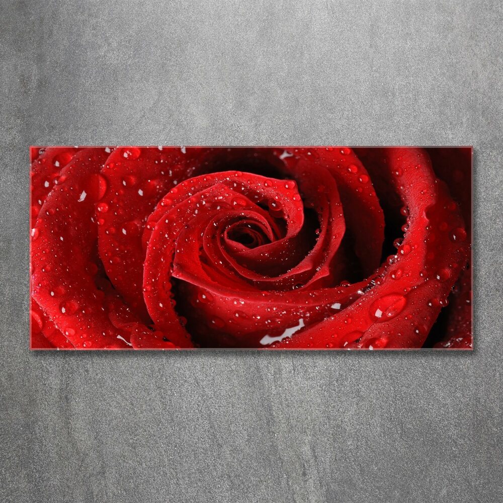 Acrylique tableau Gouttes sur une rose