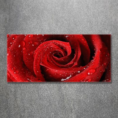 Acrylique tableau Gouttes sur une rose