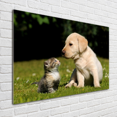 Tableau en acrylique Chien et chat dans le pré