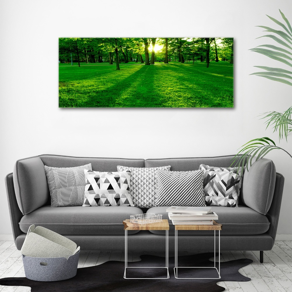 Tableau acrylique Herbe dans le parc