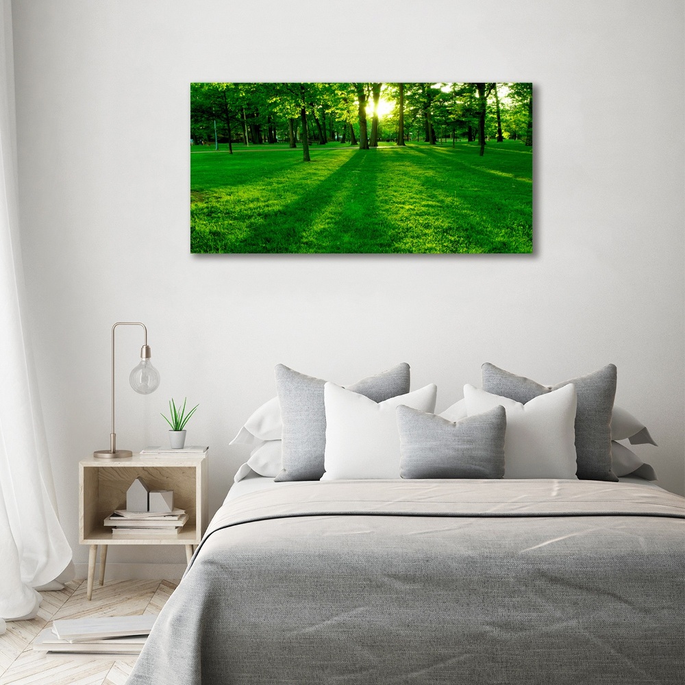 Tableau acrylique Herbe dans le parc