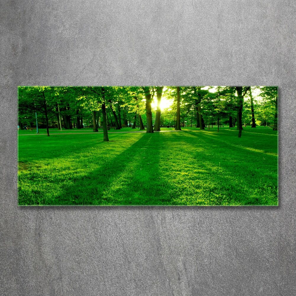 Tableau acrylique Herbe dans le parc