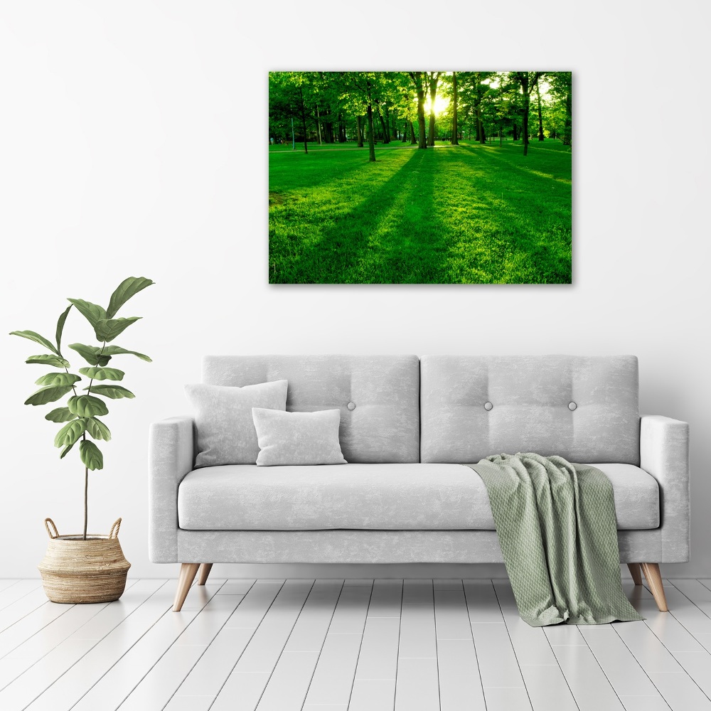 Tableau acrylique Herbe dans le parc