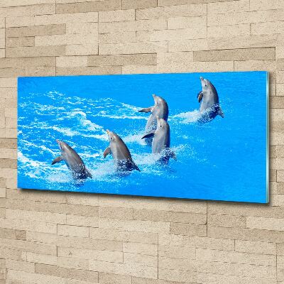 Tableau verre acrylique Dauphins