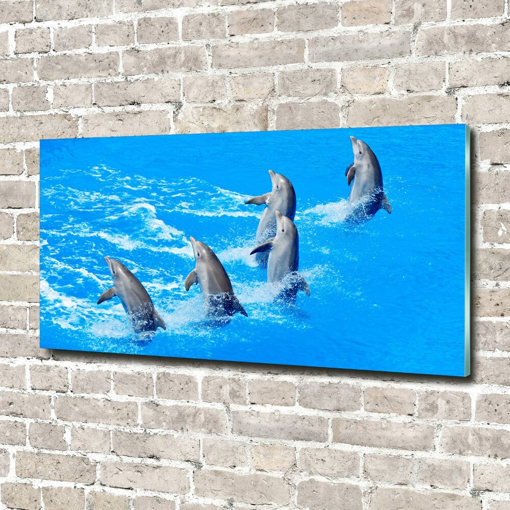 Tableau verre acrylique Dauphins