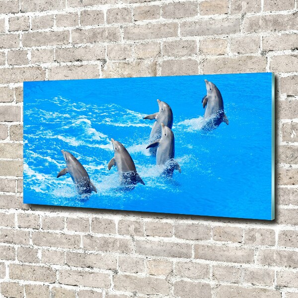 Tableau verre acrylique Dauphins