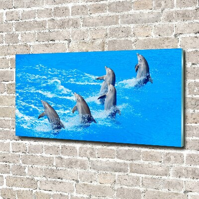 Tableau verre acrylique Dauphins