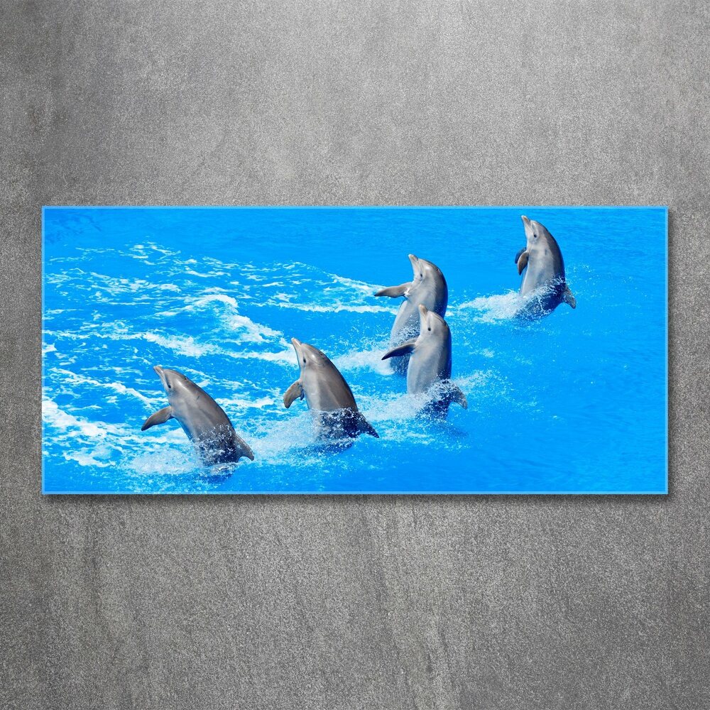 Tableau verre acrylique Dauphins