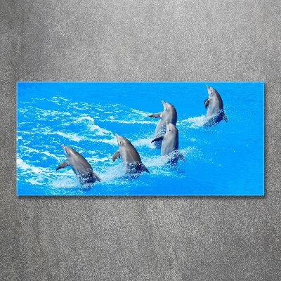 Tableau verre acrylique Dauphins