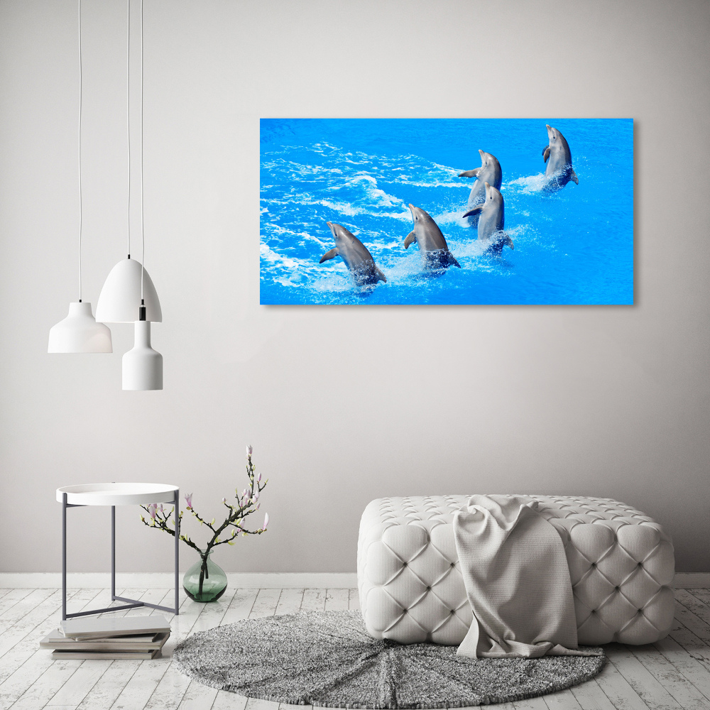 Tableau verre acrylique Dauphins