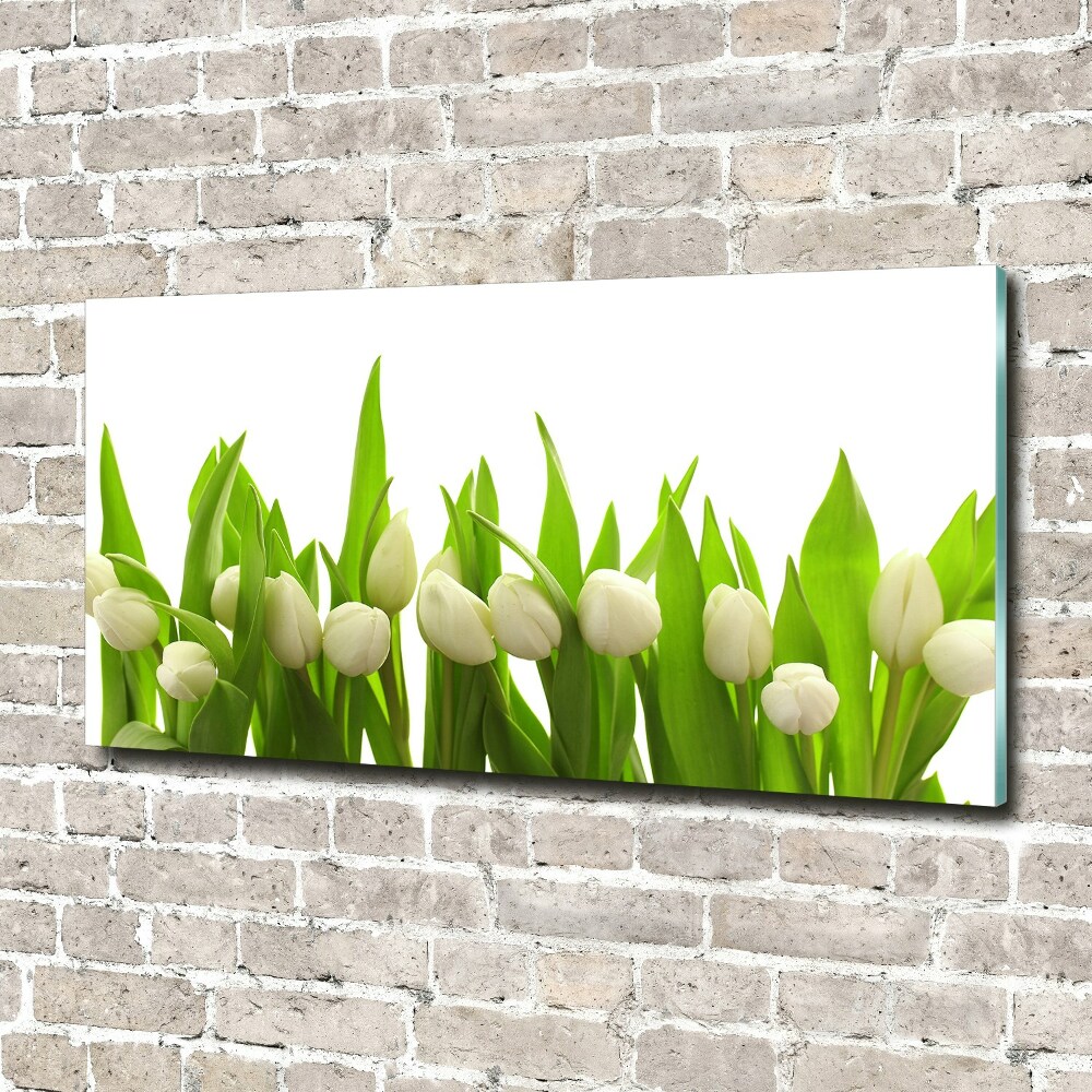 Tableau acrylique Tulipes blanches