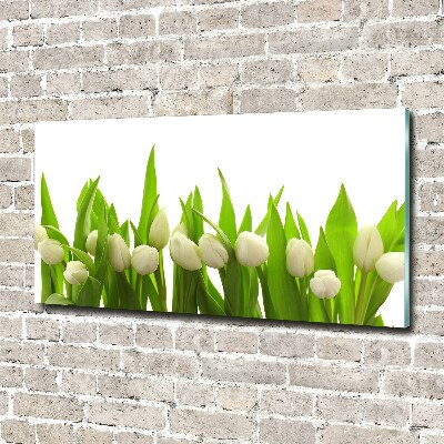 Tableau acrylique Tulipes blanches