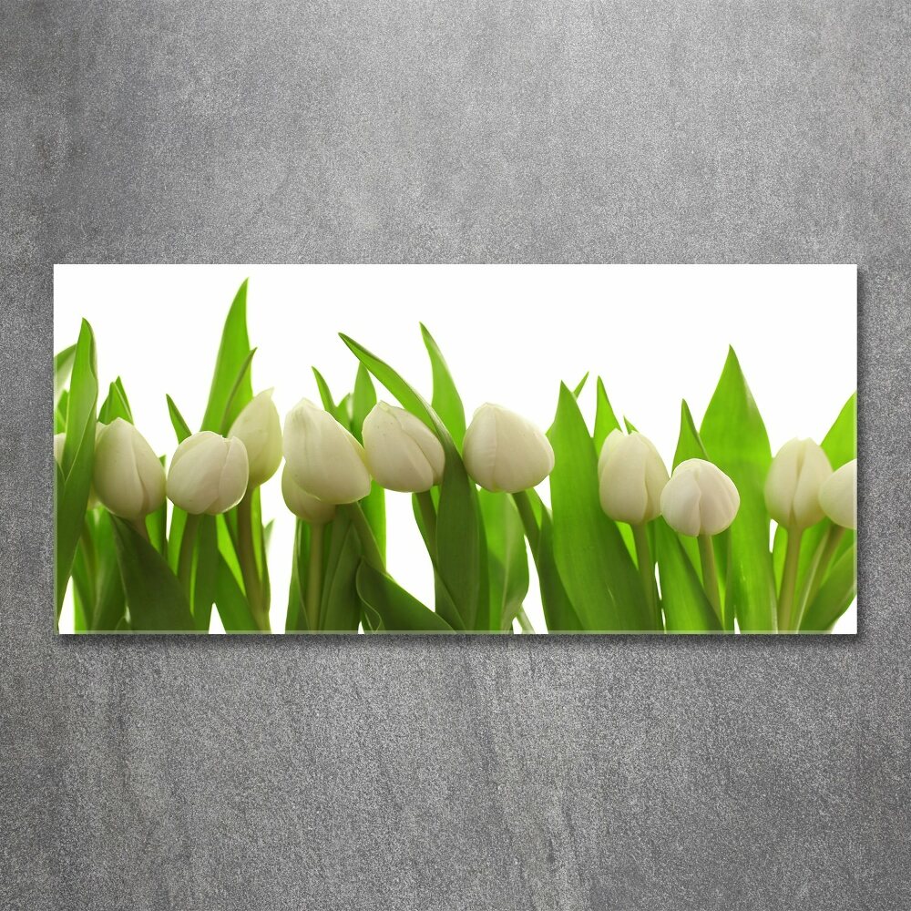 Acrylique tableau Tulipes blanches