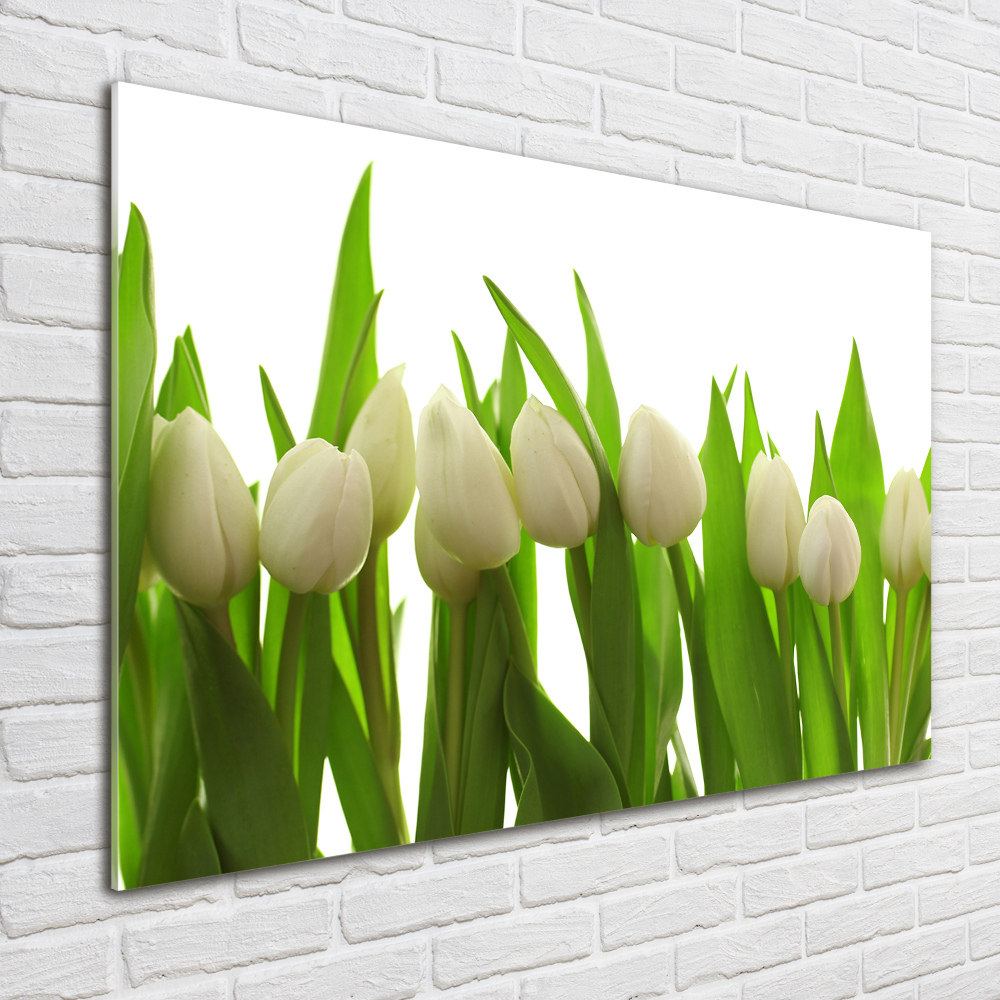 Acrylique tableau Tulipes blanches