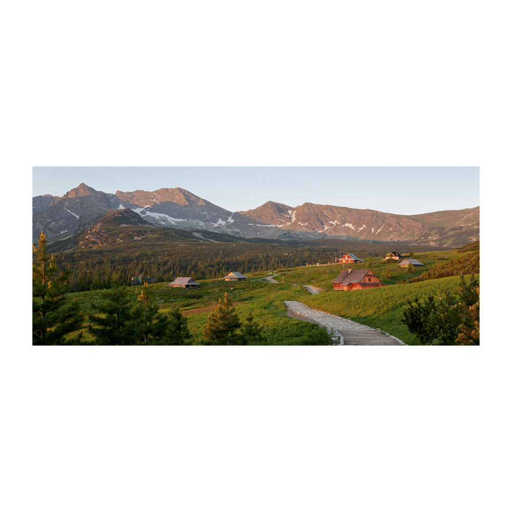 Acrylique tableau Clairière dans les Tatras