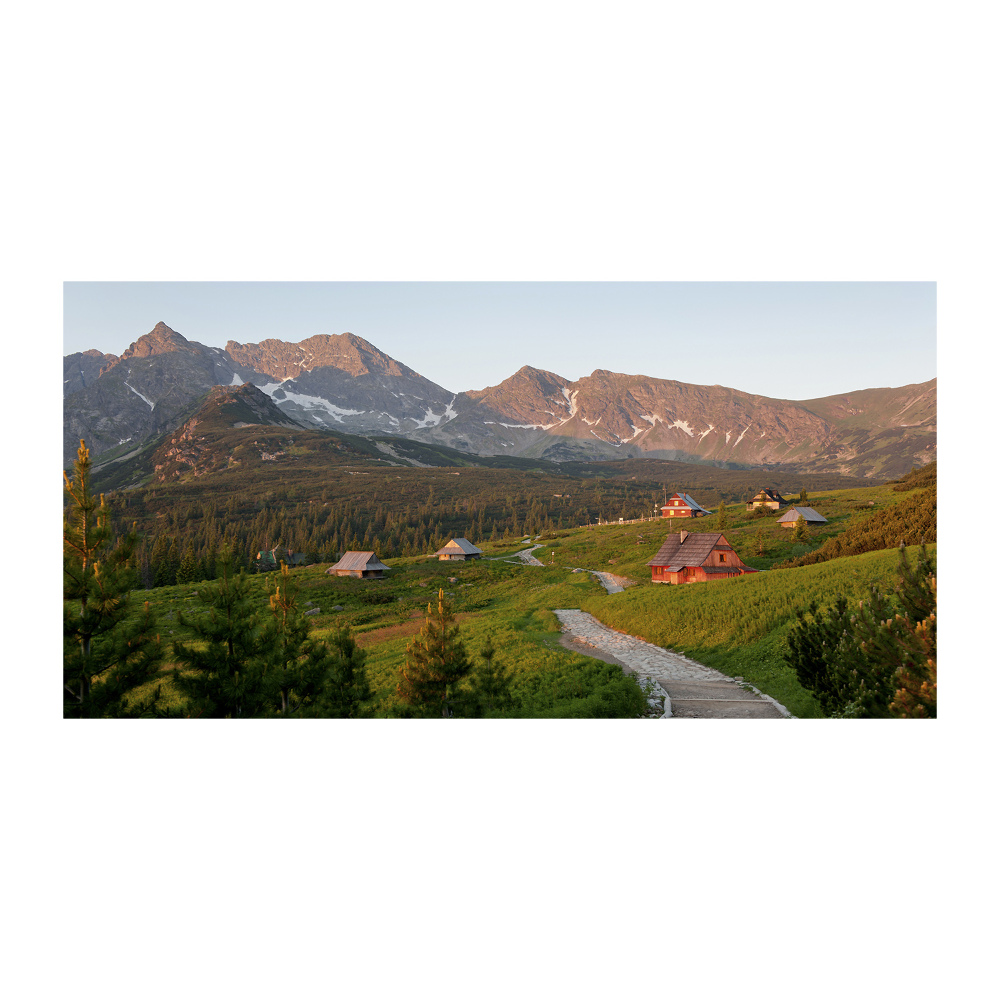 Acrylique tableau Clairière dans les Tatras